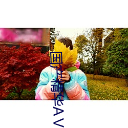 国产精华(華)AⅤ
