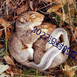 2022没封的直播平台