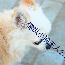 情縱小說主人公是蔣墨