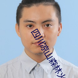 四川凉山森林火灾2020