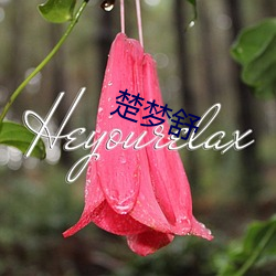 楚梦舒