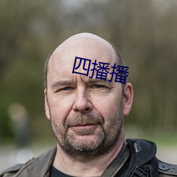 四播播