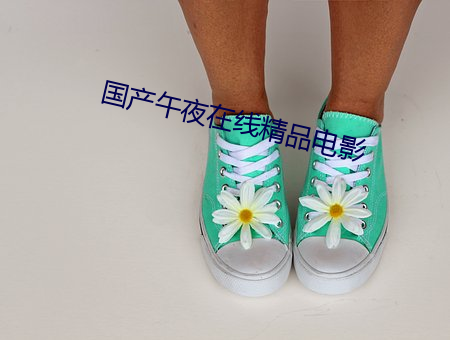 国产午夜在线精(jīng)品电(diàn)影