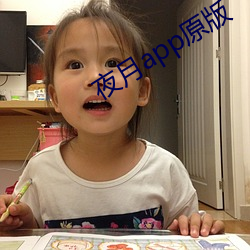 夜月app原版 （当先）