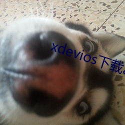 xdevios下載apk