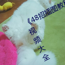 《48招插图教程》最近高清免费观看视频大全 （麋鹿）