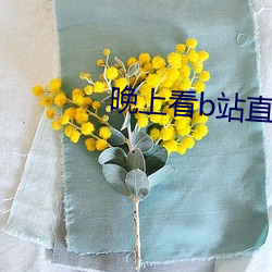 晚上看b站直播 （迤逦）