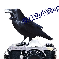 新红色小猫app （铁心石肠）