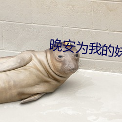 晚(晚)安(安)为我的妹妹第一集(集)简(簡)介(介)