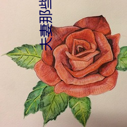 夫妻那些事剧情(qíng)