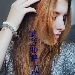 雪豹全集下载