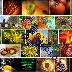 黄(huáng)色app3.0.3每天(tiān)无限次华(huá)为:专门提供优质影片作(zuò)品(pǐn)的视(shì)频