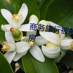 商務旅行被戴綠帽子的女老板同房