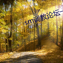 sm调教论坛一(yī)区二区(qū)三区