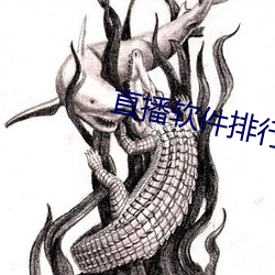 直播软件排行榜前十名 （心有余悸）