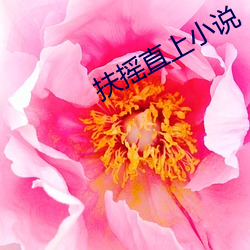扶搖直上小說