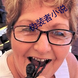 僞裝者小說
