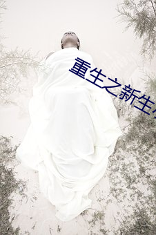 重生之新生小說