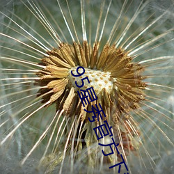 95星秀官方下载 （应刃而解）