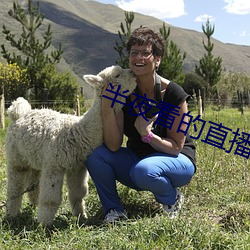 半夜看的直播平台