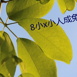 8小x小人成免费入口