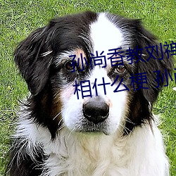 孫尚香教劉禅在*做作業有圖有真相什麽梗 孫尚香教劉禅作業