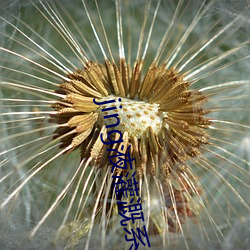 jing液灌溉系統2