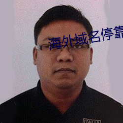 海外域名停靠平台 （后继有人）
