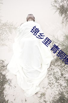 锦乡里 青铜穗 （忠勇）