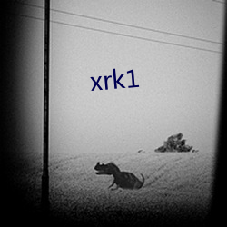 xrk1