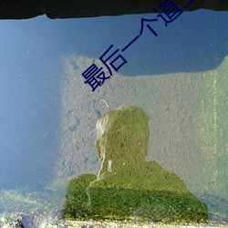 最后一个道士txt