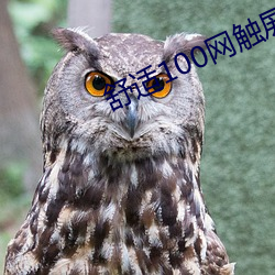 舒适100网触屏版