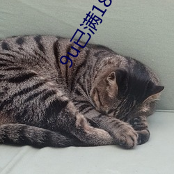 9u已(已)满18入口