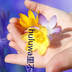 huluwa里不买药