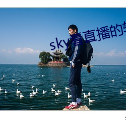 sky看直播的软件