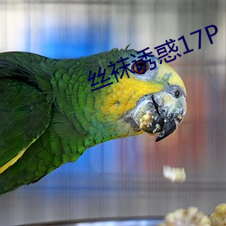 絲襪誘惑17P