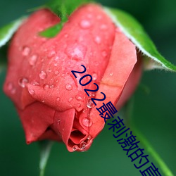 2022最刺激的直播app哔哩哔哩