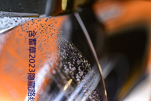 含蓄草2023隐藏路线