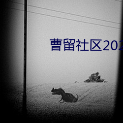曹留社区2023最新地址一 （瑞雪）