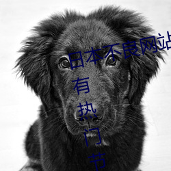 日本不良网站正(正)能(能)量(量)大豆行情(情)网拥(擁)有热门节目资(資)源