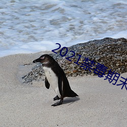 2021禁毒期末10题考试答