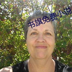 书旗免费小说 （四亭八当）