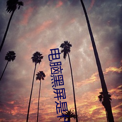 電腦黑屏是什麽原因