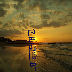 色即是空 BT （搜索引擎）