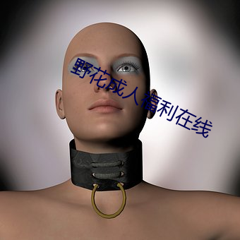 野花成人福利在线