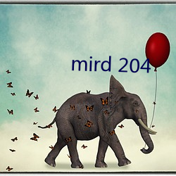 mird 204