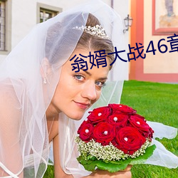 翁婿大战(zhàn)46章之后