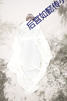 后宫(宮)如懿(懿)传(傳)小(小)说