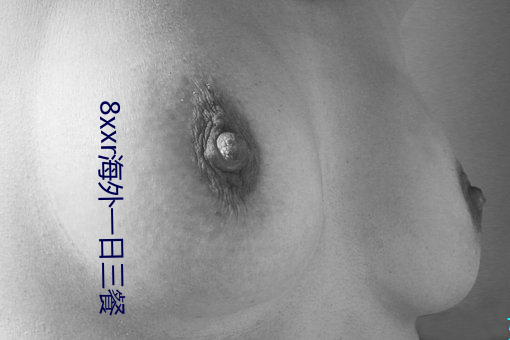 8xxr海外一日三餐