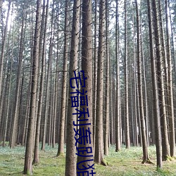 宅福利轰趴猫 （凉鞋）